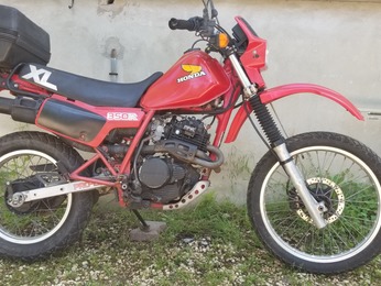 XLR 350 HONDA ROUGE